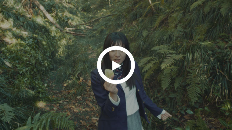 KOIKEYA PRIDE POTATO ��100�� SONG��CM30����