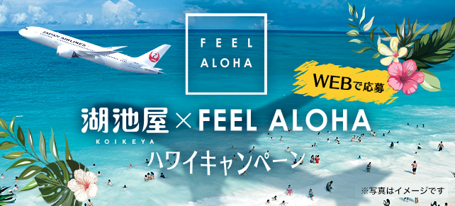 湖池屋×FEEL ALOHA ハワイキャンペーン