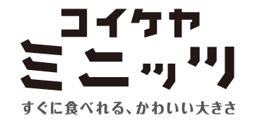 ��������ߥ˥å�