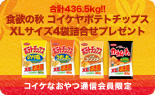 食欲の秋 コイケヤポテトチップスXLサイズ4袋詰合せプレゼント