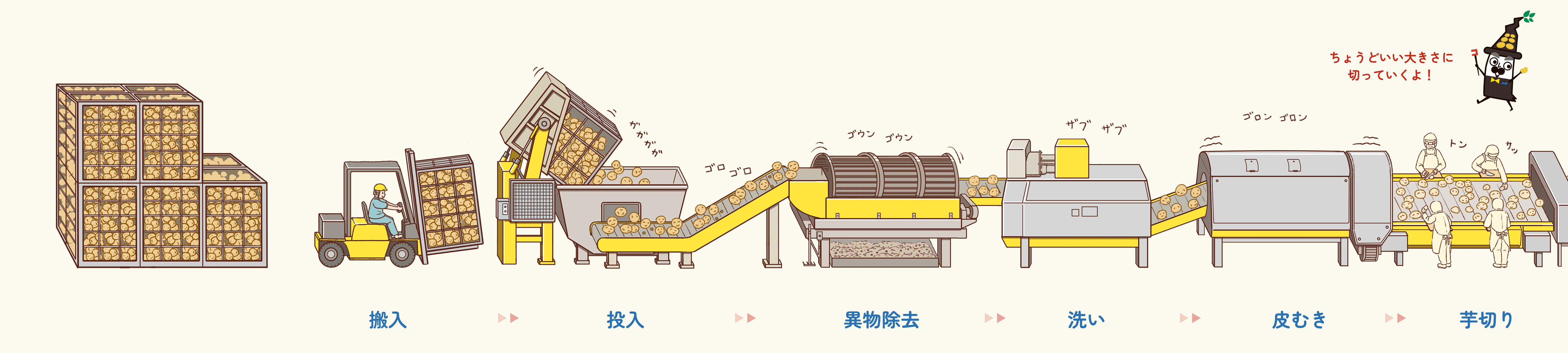 搬入・投入・異物除去・洗い・皮むき・芋切り