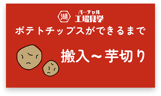 ポテトチップスができるまで 搬入～芋切り
