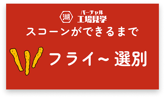 フライ~選別