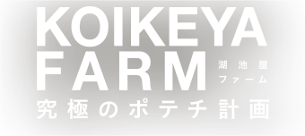 KOIKEYA FARM ˤΥݥƥײ