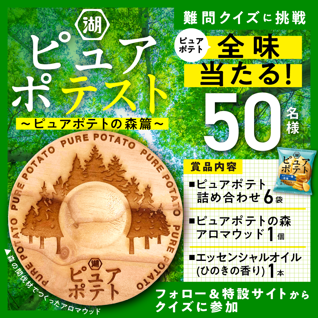 2510_pure_forest.jpg